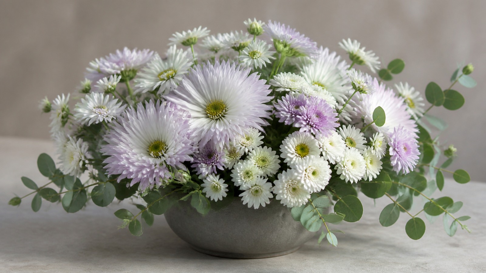 a low dense arrangement of white and pale lilac asters with santini chrysanthemums and eucalyptus in a plain grey ceramic vessel, soft even side light