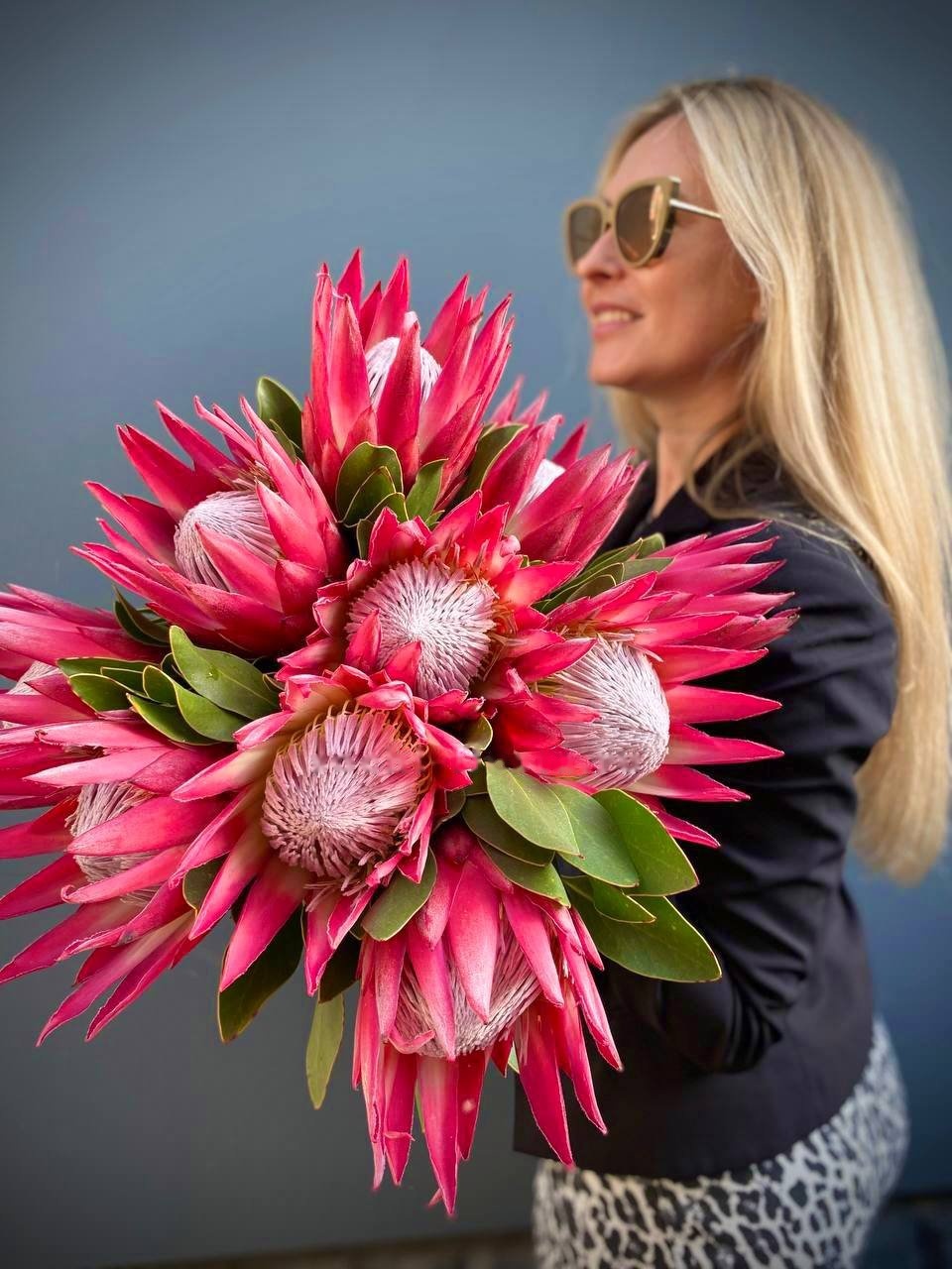Protea