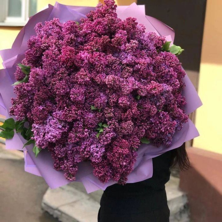 51 сирень в букете в Дубае