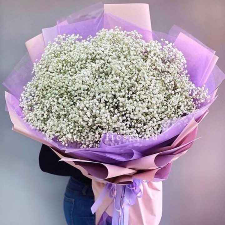Облако белых гипсофил в Дубае