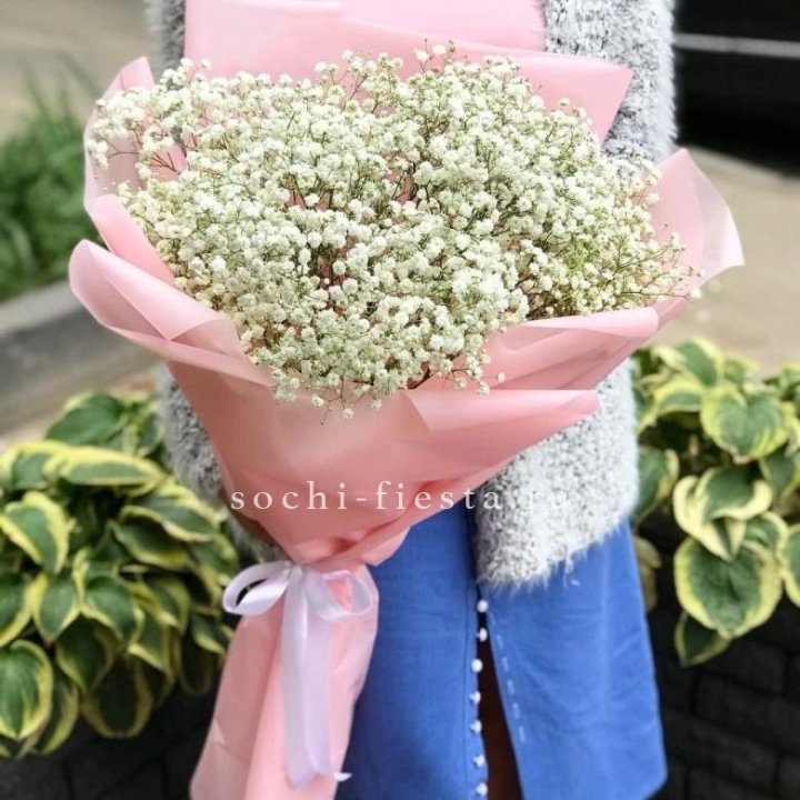 Белоснежные гипсофилы в Дубае