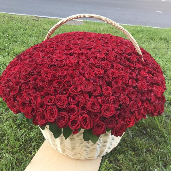 351 роза в Дубае