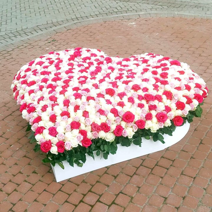 555 роза  в Дубае