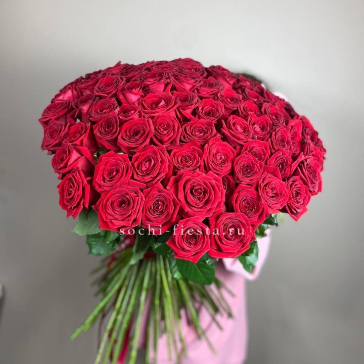 101  голландская роза  в Дубае
