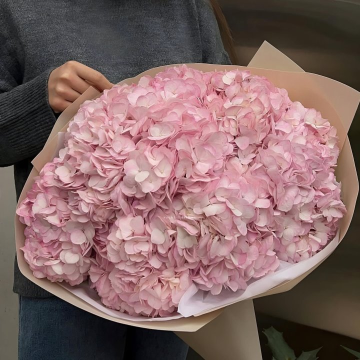Гортензия  "РОЗЕ" в Дубае