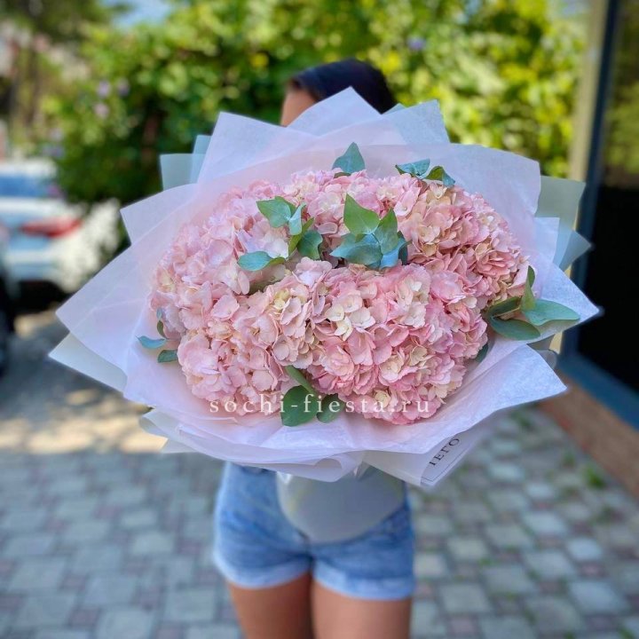5 розовых гортензий  в Дубае