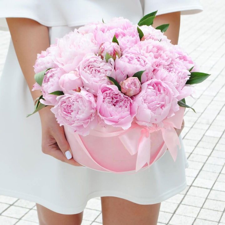 Пионы в шляпной коробке в Дубае