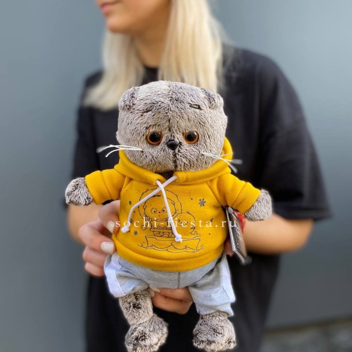 Кот Басик в худи в Дубае