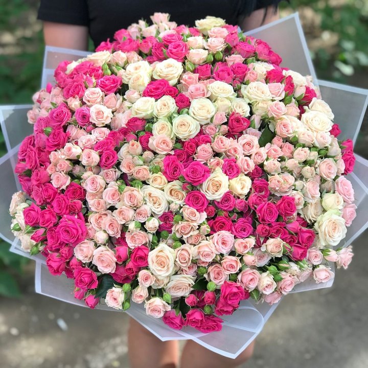 101 кустовая роза в Дубае