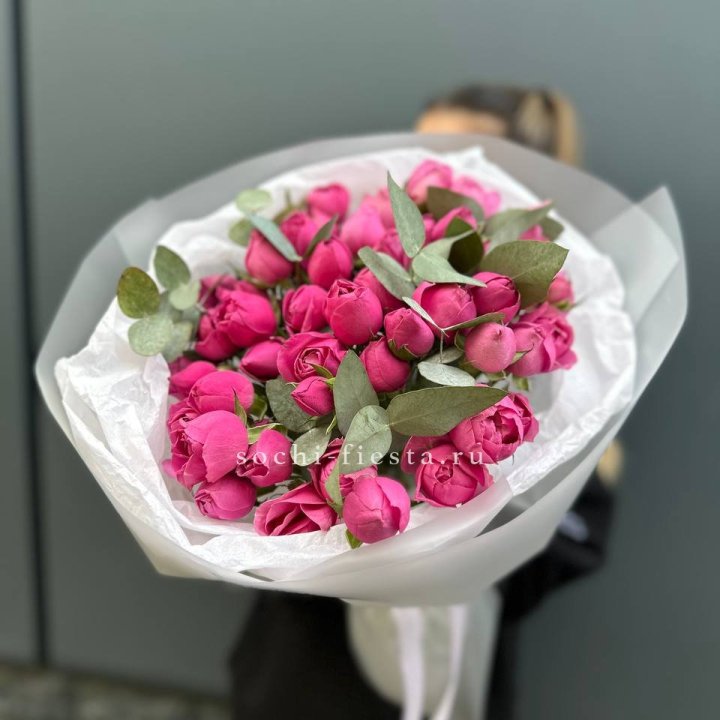 17 Мисти бабблс в Дубае