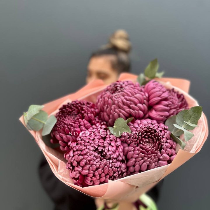 Хризантемы  Бигуди  в Дубае
