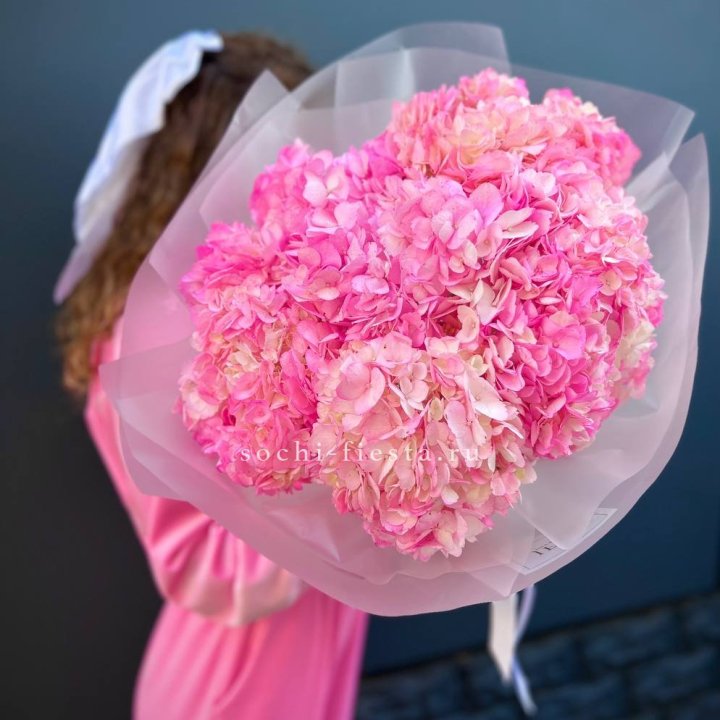 7 ярко розовых гортензий в Дубае