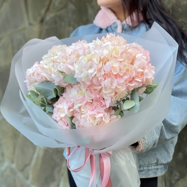 5 розовых гортензий в Дубае