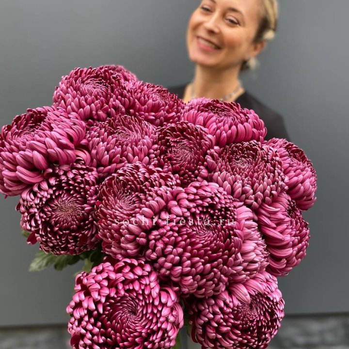 Охапка хризантем Бигуди в Дубае