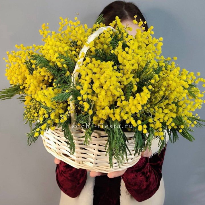 Корзина ароматной мимозы в Дубае