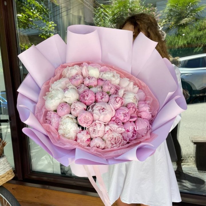 51 розовый пион в Дубае