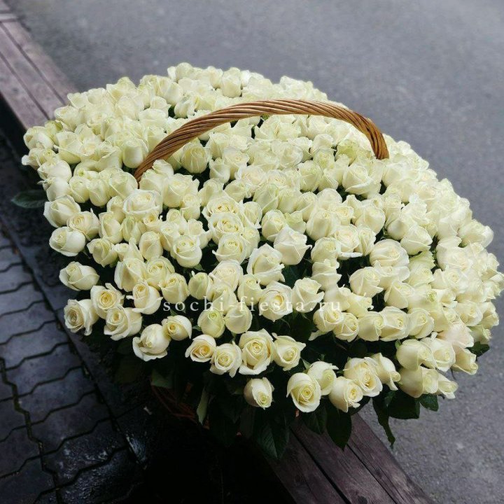 303 розы в корзине в Дубае