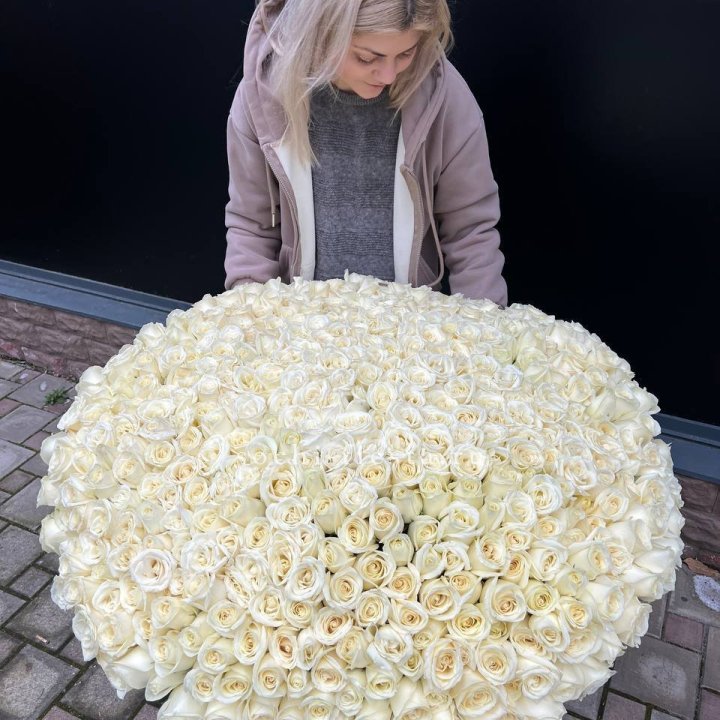 501 белая роза в корзине в Дубае