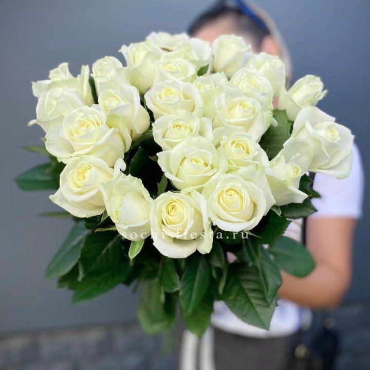 Голландские розы белые 25 с доставкой в Дубае