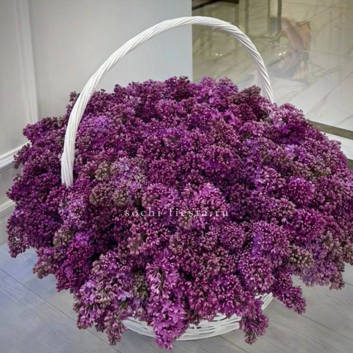 Корзина сирени в Дубае