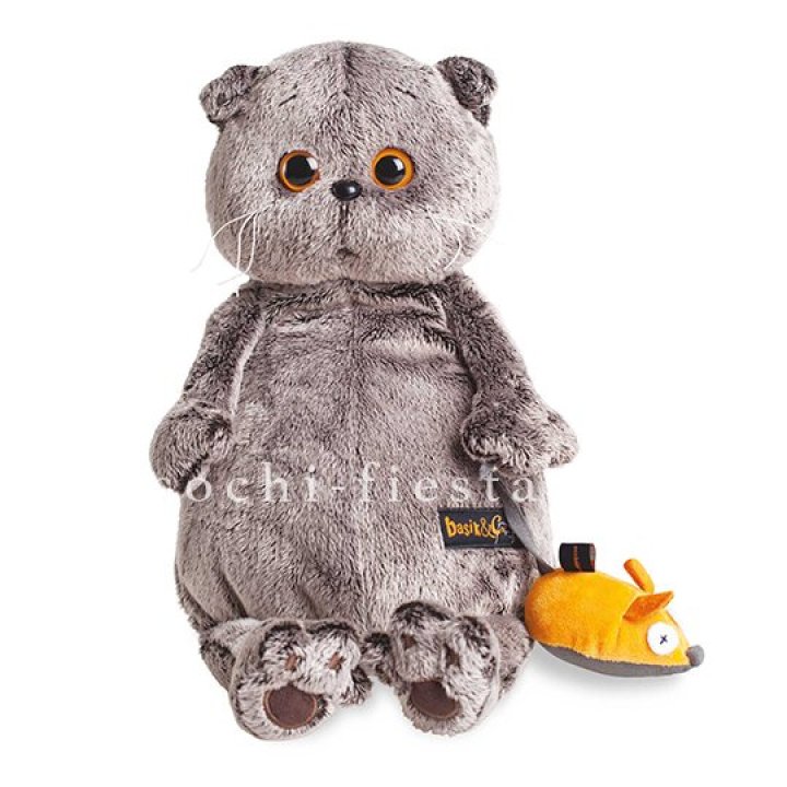 Кот Басик с мышкой в Дубае