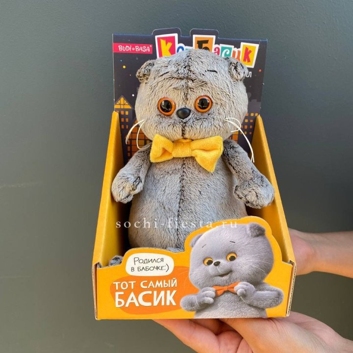 Кот Басик с бабочкой в Дубае